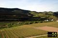 Der Kaiserstuhl in Baden-Württemberg, (D) (49) 10. Mai 2015 Blick ins Krottenbachtal.JPG